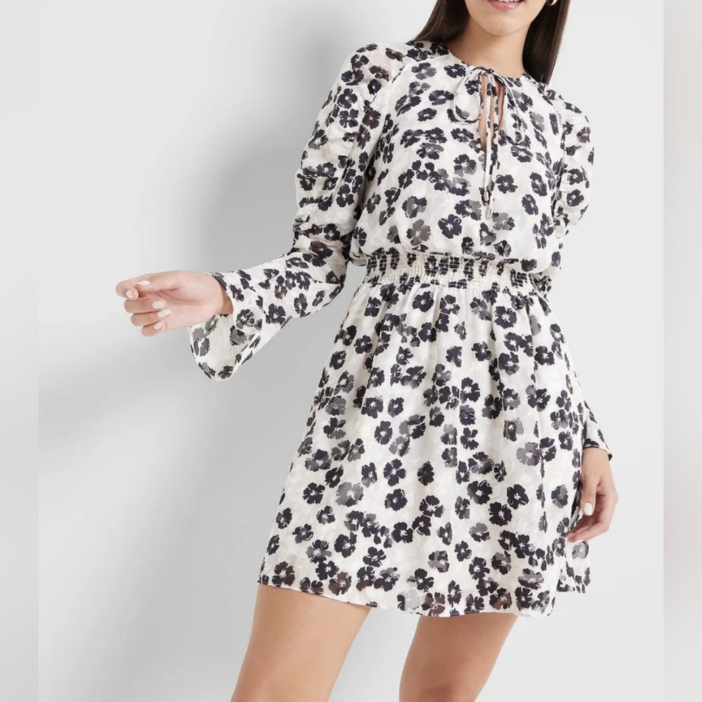Ted Baker, "Felicity" floral Long Sleeve Mini dress, size 8 (Medium) NEW